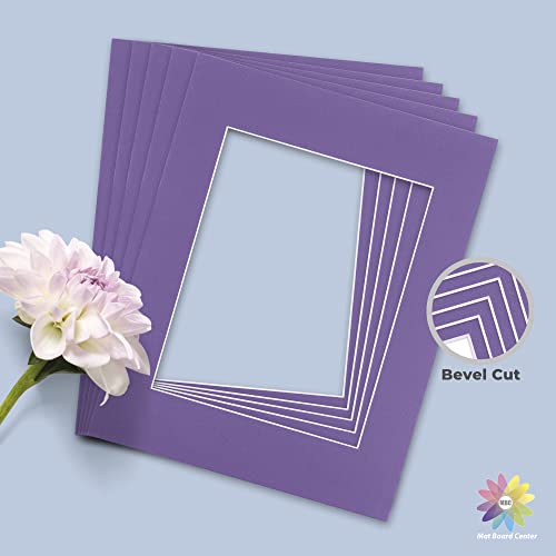 Mat Board Center 10 Pack 11x14 Photo Mats for 8x10 Picture (10 Count)