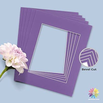 Mat Board Center 10 Pack 11x14 Photo Mats for 8x10 Picture (10 Count)