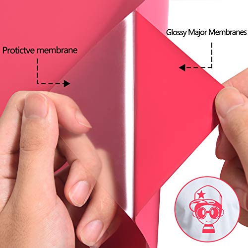 RENLITONG Heat Transfer Vinyl (10 Foot)