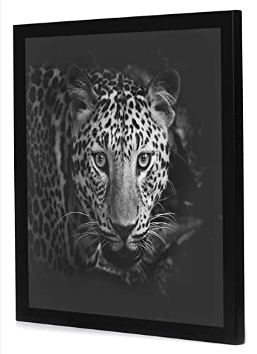 17x17 Picture Frame (17 Count)