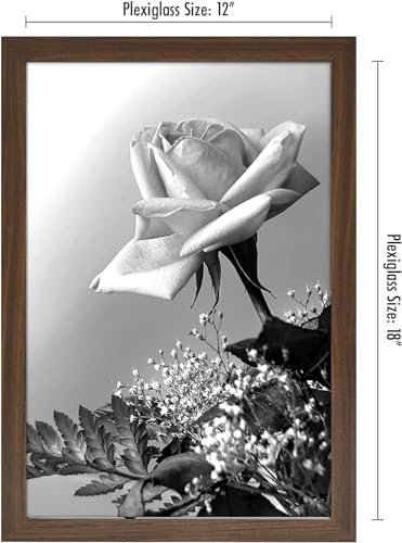 12x18 Poster Frame