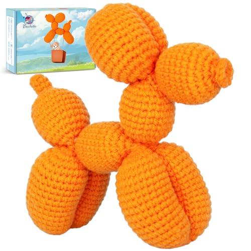 Crochet Kit for Beginners