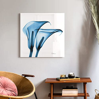 Frameless Free Floating Tempered Glass Panel Graphic Wall Art Ready to Hang (2 Count)