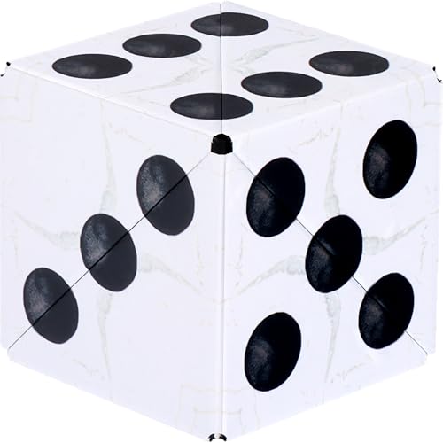 DODECA Magnetic Puzzle Cube