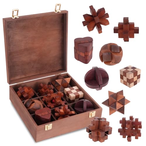 Wooden Brain Teaser Puzzles for Adults Teens (9 Count)