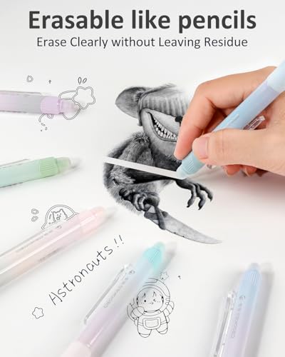 Erasable Pens (6 Count)