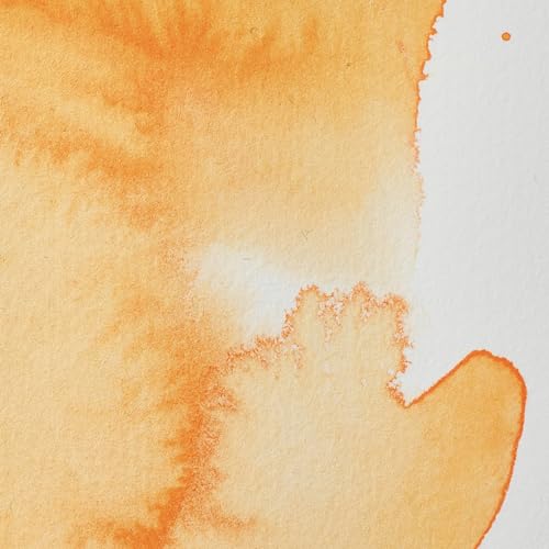 Professional Watercolor
