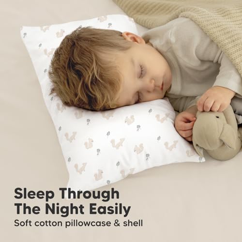 Toddler Pillow with Pillowcase