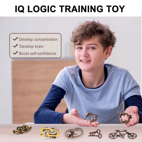 6 PCS Metal Brain Teaser Puzzles for Adults and Kids (72 Count)