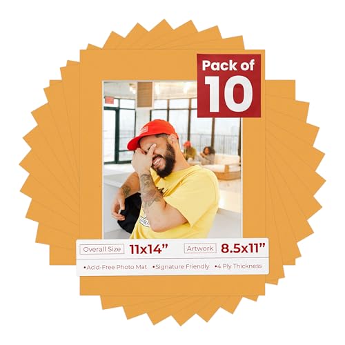 Pack of Ten Acid Free 11x14 Mats Bevel Cut for 8.5x11 Photos (10 Count)