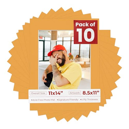 Pack of Ten Acid Free 11x14 Mats Bevel Cut for 8.5x11 Photos (10 Count)