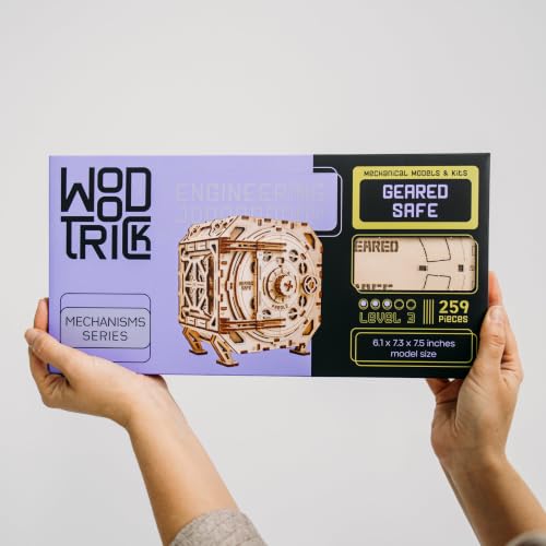 Safe Locker Puzzle Box 3D Wooden Puzzles for Adults to Build