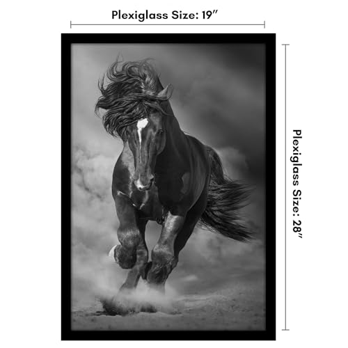19x28 Poster Frame