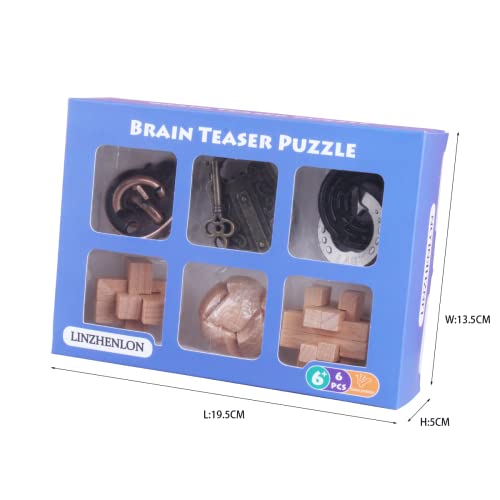 Brain Teaser Puzzle for Adults Puzzles Metal Hole Lock Adult Educational Toy Jigsaw IQ Puzzle（6 Pack） (6 Count)