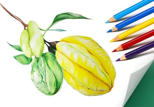 Colored Pencils (288 Count)