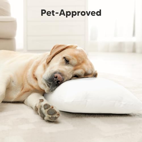 Toddler Pillow with Pillowcase