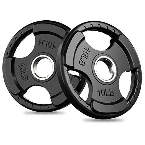 Olympic Rubber Grip Weight Plates (2 Count)