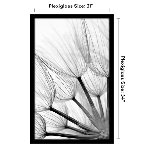 21x34 Poster Frame