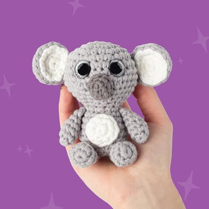 Crochet Kit for Beginners