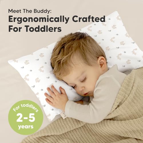 Toddler Pillow with Pillowcase