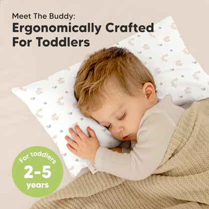 Toddler Pillow with Pillowcase