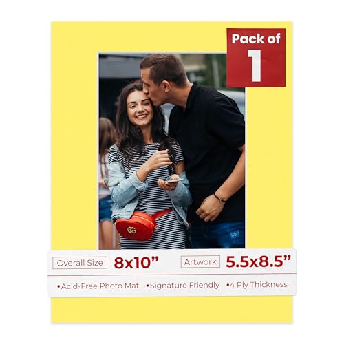 8x10 Mat Bevel Cut for 5.5x8.5 Photos