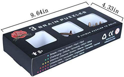 Brain Teaser Puzzle for Adults Puzzles Metal Hole Lock Adult Educational Toy Jigsaw IQ Puzzle