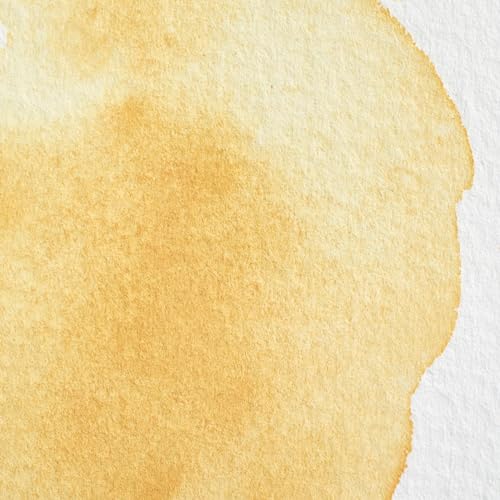 Professional Watercolor