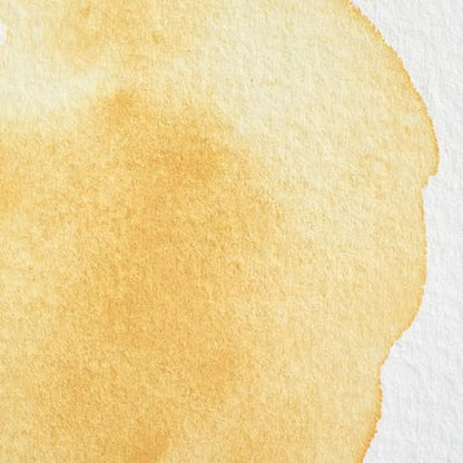 Professional Watercolor