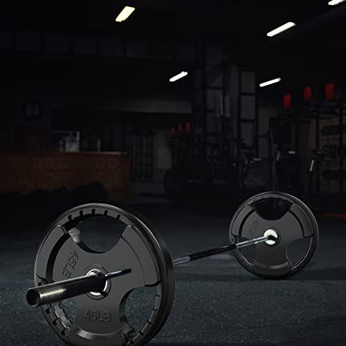 Olympic Rubber Grip Weight Plates (2 Count)