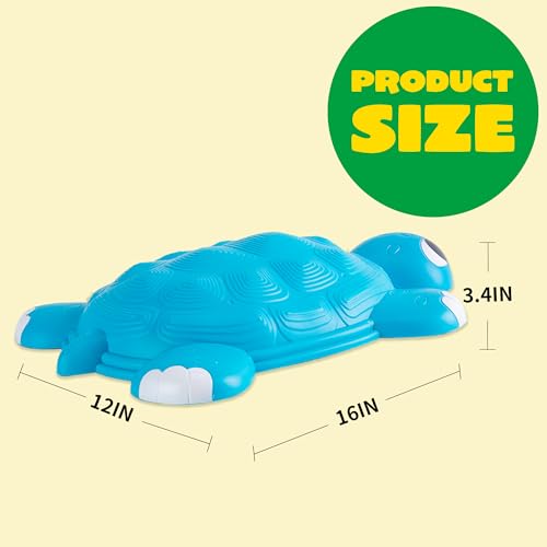 Turtle Balance Stepping Stones