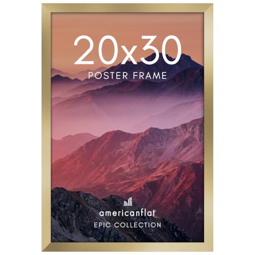 20x30 Poster Frame