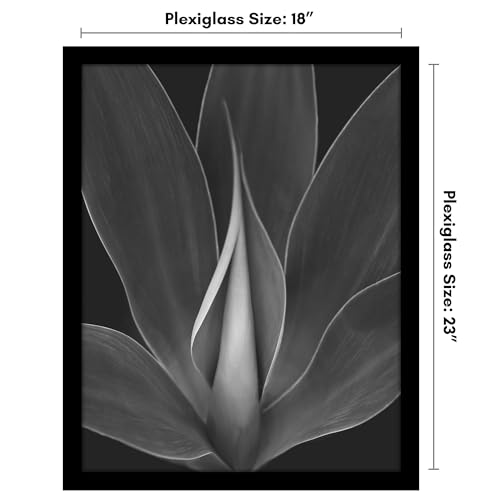 18x23 Poster Frame