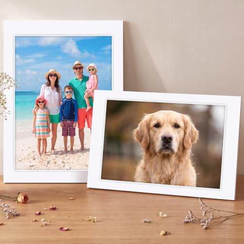 15 Pack White Picture Mats 24x36 for 20x30 Photos