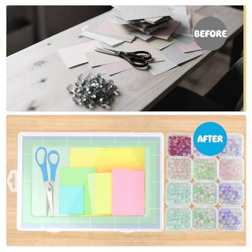 Extra Large Bead Organizer and Storage Box with 60 Small Plastic Boxes (60 Count)