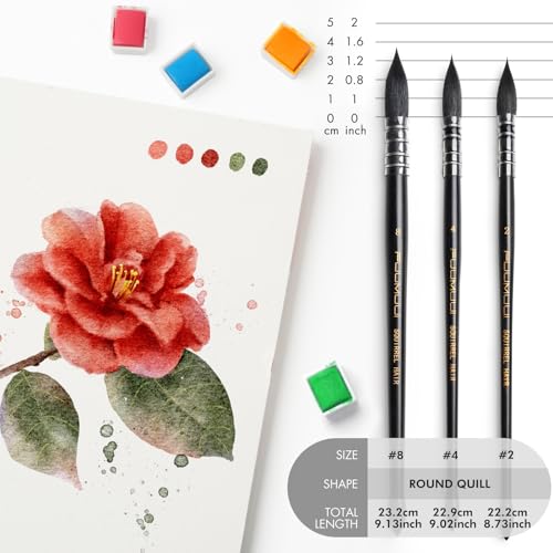 3PCS Squirrel Hair Watercolor Brushes (3 Count)