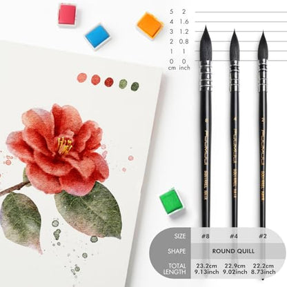 3PCS Squirrel Hair Watercolor Brushes (3 Count)