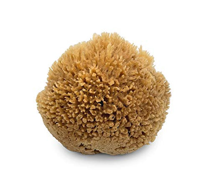Sea Wool Art Sponge
