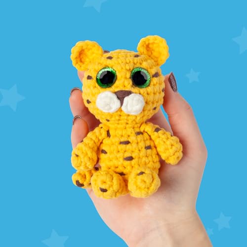 Crochet Kit for Beginners