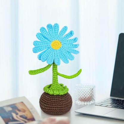 Crochet Kit for Beginners