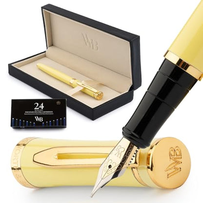 Luxury Fountain Pen Set for Writing