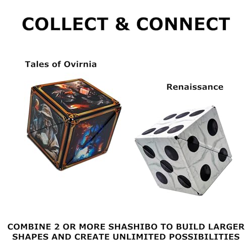 DODECA Magnetic Puzzle Cube