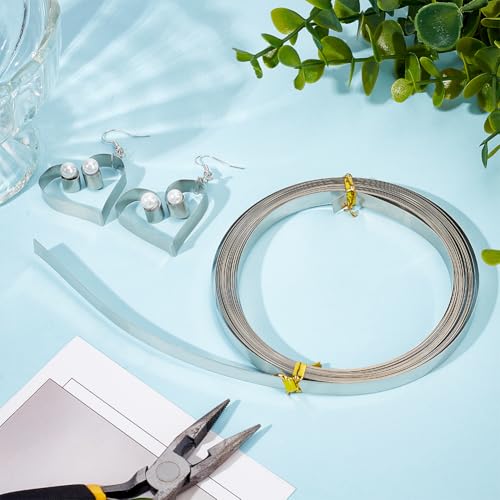 19.7 Feet 32Gauge Flat Nickel Silver Wire (19.69 Foot)