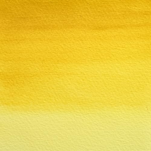 Professional Watercolour Revival
