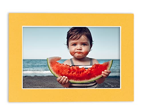 8x10 Mat Bevel Cut for 5x8 Photos