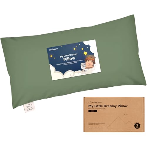 Toddler Pillow with Pillowcase