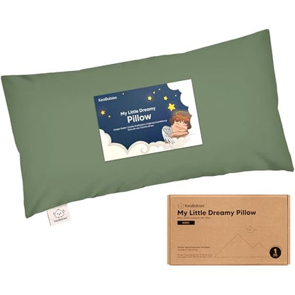 Toddler Pillow with Pillowcase