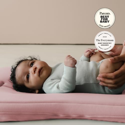 Organic Newborn Baby Infant Lounger Pillow & Travel Bag