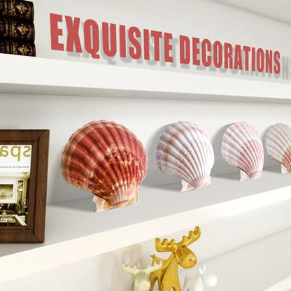 8 PCS 4 4.5 Inch Natural White&Pink Scallop Shells Sea Shells for DIY Craft Home Décor