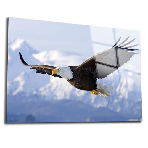 Eagle Printed Tempered Glass Wall Art Painting for Living Room